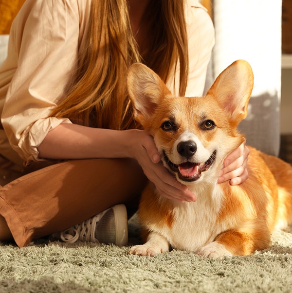 Happy dog and owner after veterinary care in Lumberton NC