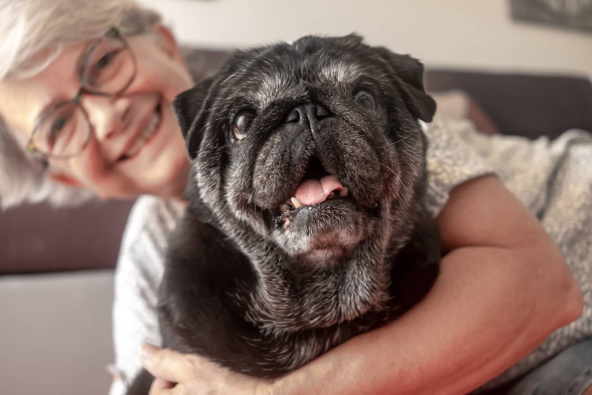 Geriatric dog and his owner happy after senior care for pets in Lumberton NC
