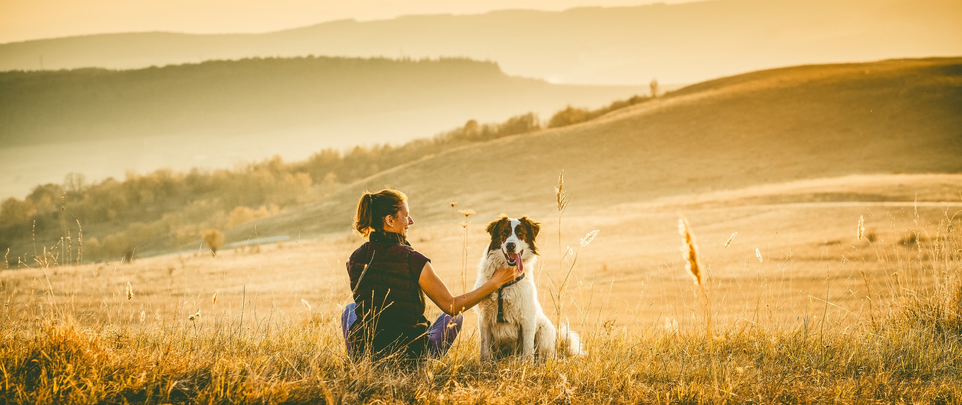 woman with dog relaxing in autumn landscape Dog sitting outside with owner on a hike after veterinary grooming services in Lumberton NC