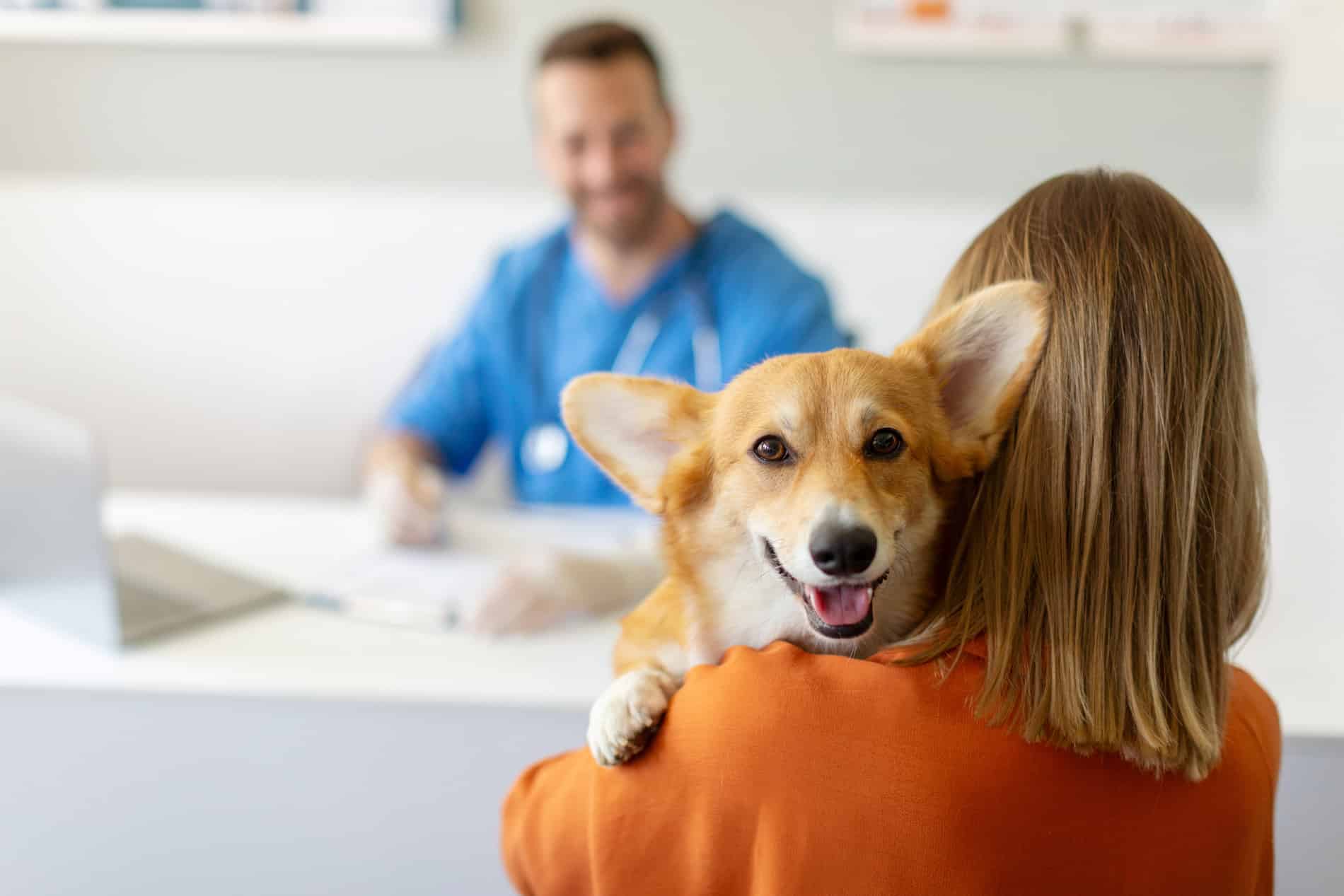 Woman bring her dog to a veterinary boarding appointment in Lumberton NC